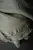 merchant mills murakami quilted wobble gauze2.jpg