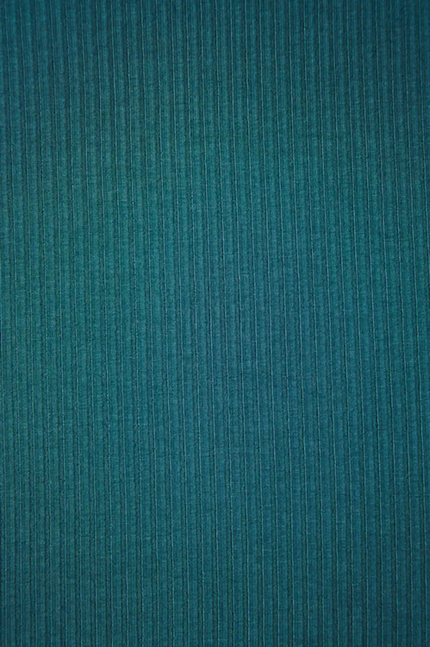 Tencel Modal Derby Ribbed Jersey - Pond Teal