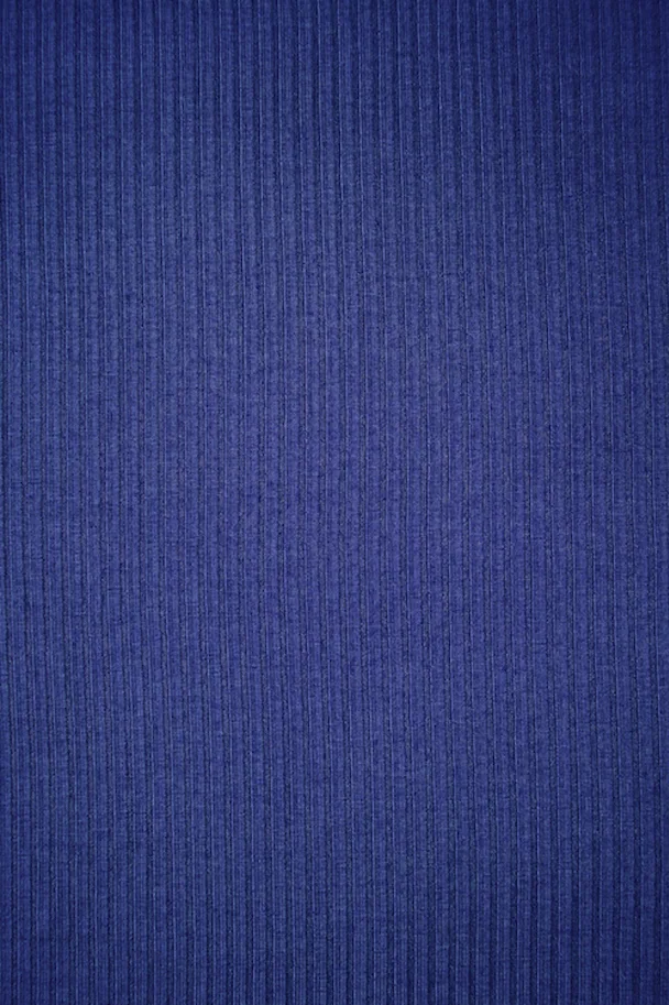 Tencel Modal Derby Ribbed Jersey - Lapis