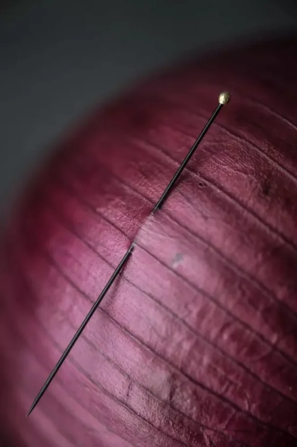 Stecknadeln Black Entomology Pins - For Extra Fine Fabrics