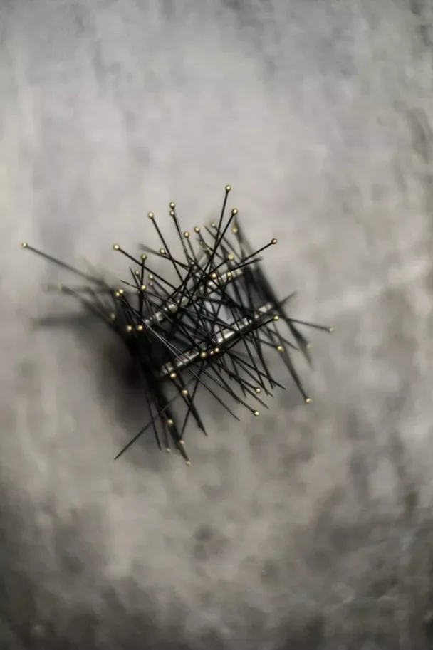 Stecknadeln Black Entomology Pins - For Extra Fine Fabrics