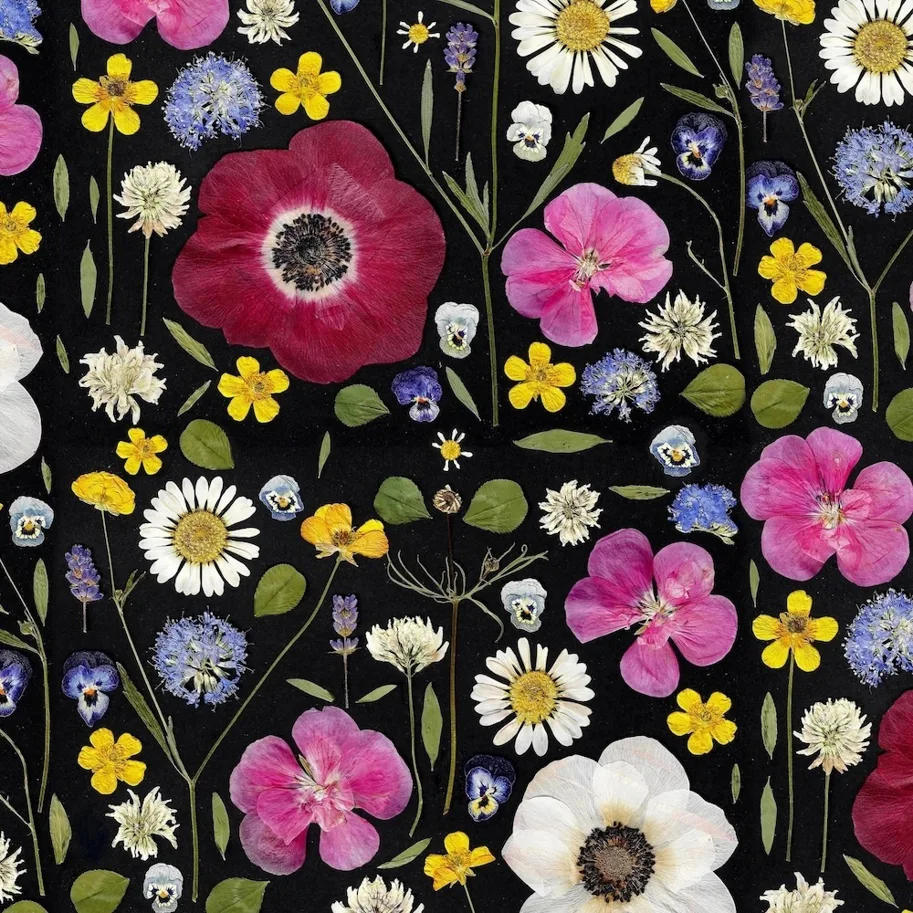 Organic Jersey - Whisper of Summer Black