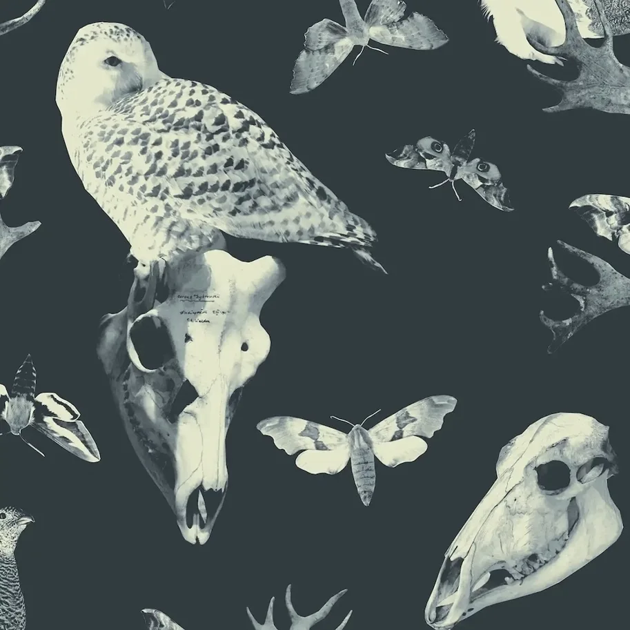 Organic Sweat Brushed - Cervus Dybowskii Storm Blue