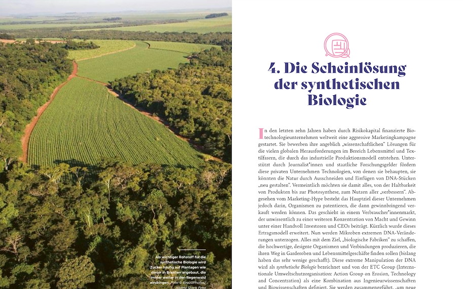 Was steckt in unserer Kleidung? Revolutionieren wir die Textilindustrie - Rebecca Burgess